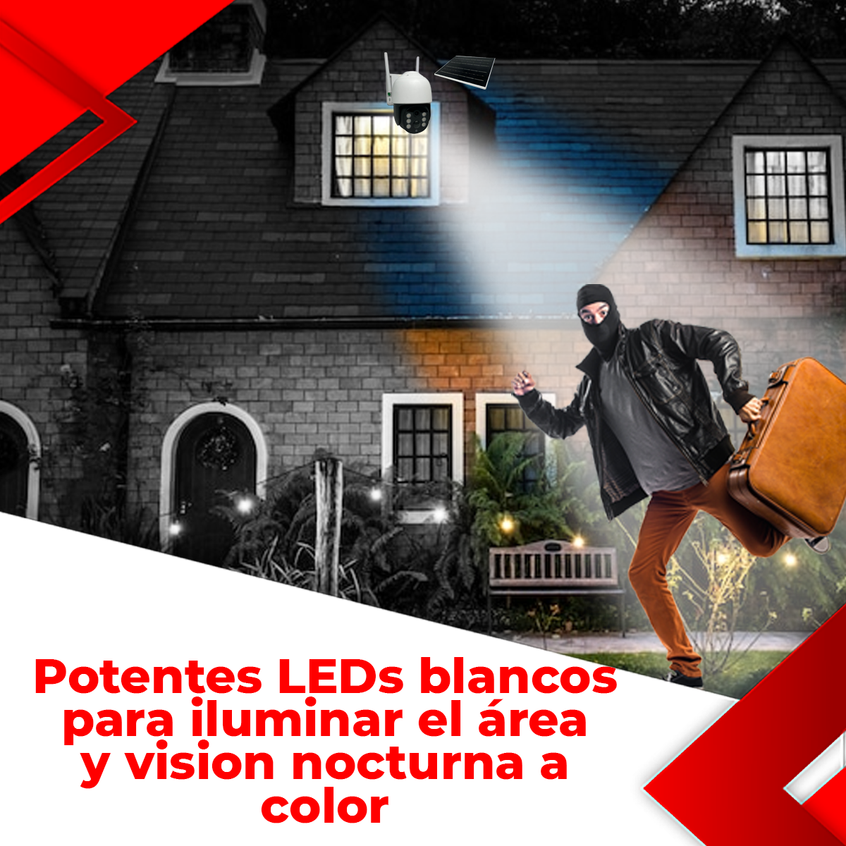 Imagen 5